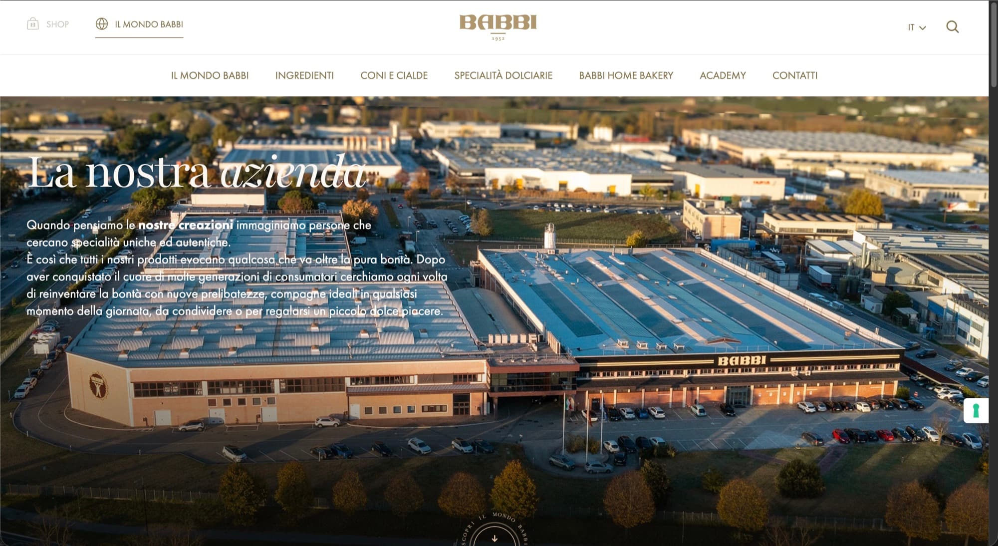 Home page del sito Babbi